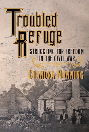 Chandra Manning, Troubled Refuge